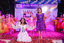 Aneja School-CIS-Logo